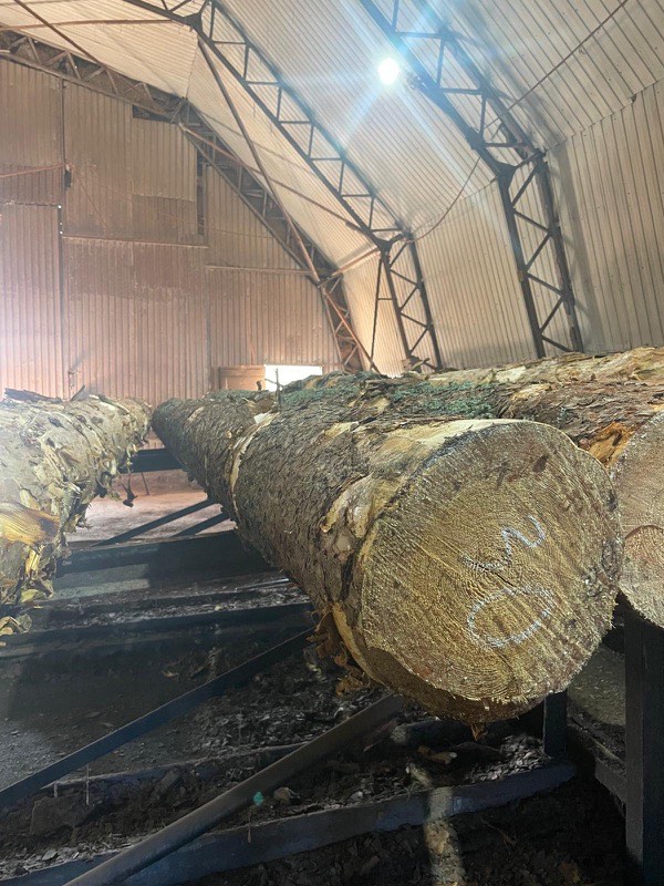 Close-up of a marked log inside the mill